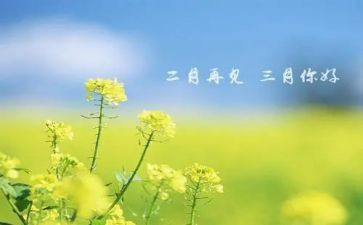 物业三月份工作计划7篇