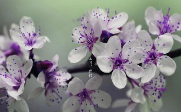 幼儿园三月份教师工作计划5篇