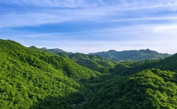 关于秋天的山作文优质6篇