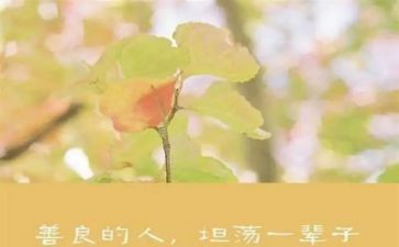 最善良的她作文600字5篇