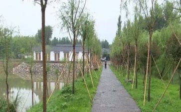 参观庵上湖村心得体会推荐5篇