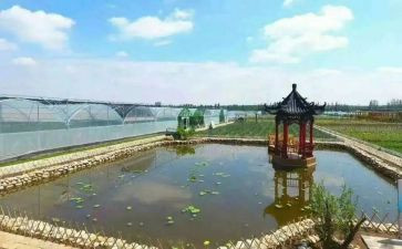 庵上湖参观心得体会精选7篇