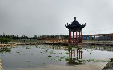 庵上湖参观心得体会6篇