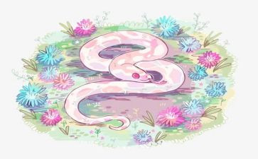 大班音乐《金蛇狂舞》教案5篇