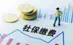 社保医保工作总结6篇