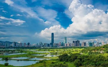 在深圳的我作文6篇