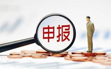 纳税申报心得体会8篇