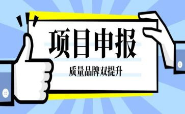 申报工作总结范文参考6篇