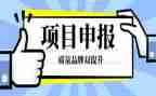 申报工作总结范文参考6篇