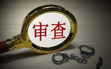 审查察工作总结8篇