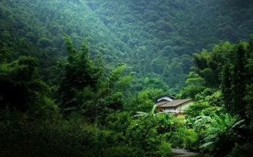记忆的深深处作文6篇