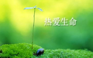 生命的流读后感通用5篇