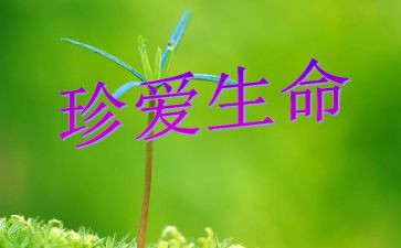 讲生命的演讲稿参考5篇
