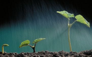 听生命教育讲座的心得体会6篇