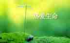 生命与安全的教案参考8篇