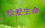 生命生命的教学反思最新5篇