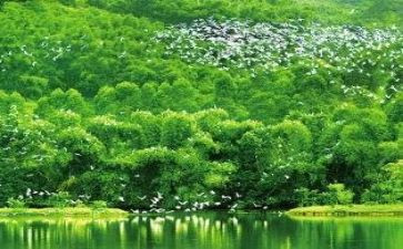 生态日工作总结参考6篇