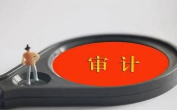 审计工作总结个人总结报告6篇