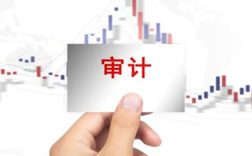 个人总结审计范文8篇