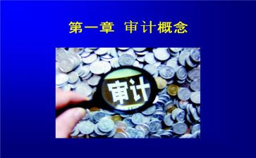 审计局述职报告5篇