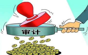 审计员的工作总结精选6篇
