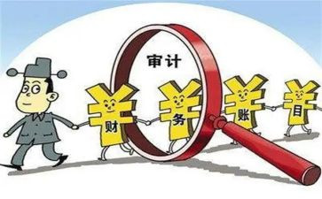 年报审计工作总结8篇