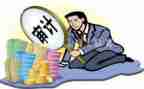 审计的个人年终总结7篇