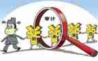 年报审计工作总结8篇