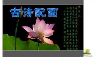 《我的祖国》诗读后感300字5篇