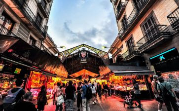 市场科个人总结参考7篇