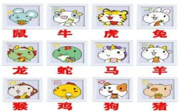 中班十二生肖教案7篇