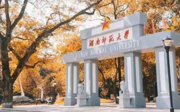 师范生个人实习总结通用6篇