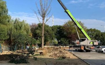 施工工作总结个人总结优秀8篇