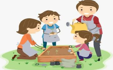 返乡社会实践心得体会5篇