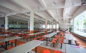 食堂年工作总结报告5篇
