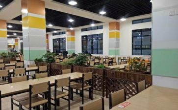 2024年食堂的工作总结通用6篇