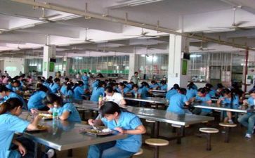 2024年食堂的工作总结优质8篇