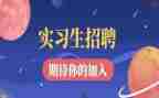 实习心得体会5篇