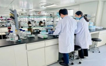 我做的一项实验作文精选6篇