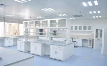 实验室工作总结及工作计划5篇