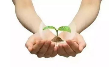 守护的观后感推荐7篇