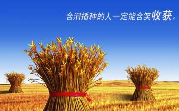 我收获了爱作文400字最新5篇