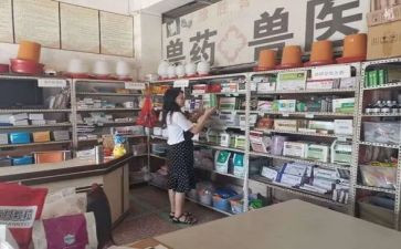 年兽药工作总结8篇