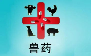 兽药店自查报告7篇