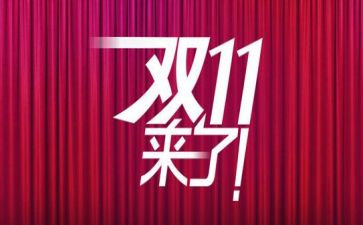 双11采购工作总结5篇