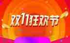 营销双11活动总结范文5篇