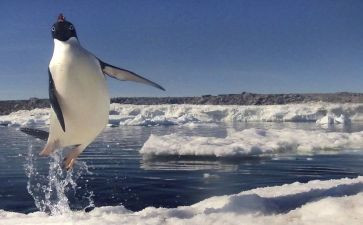 瞬间优秀作文精选5篇