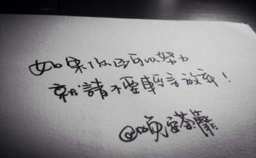 抒情作文800字精选6篇