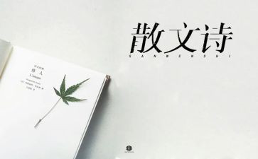 抒情作文800字通用6篇