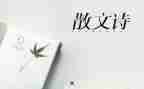 抒情作文800字通用6篇
